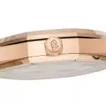 Audemars Piguet Royal Oak 15510OR.OO.D315CR.02 Size:41mm 1:1 Replica - Image 5